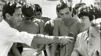 Encuesta sobre el Amor